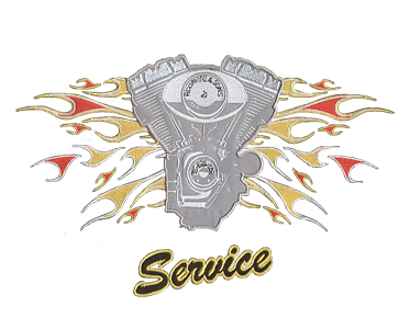 embroidery digitizing  applique 